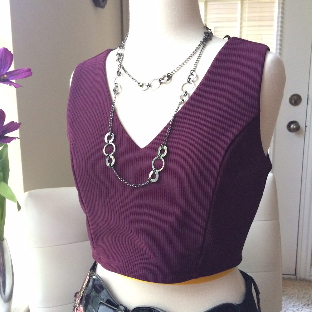 NWT zip back plum crop top